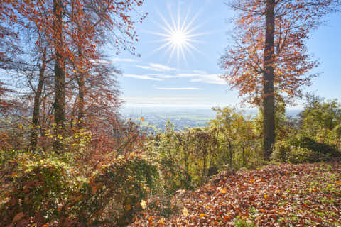 Gemeinde Julbach Landkreis Rottal-Inn Schlossberg Herbst (Dirschl Johann) Deutschland PAN